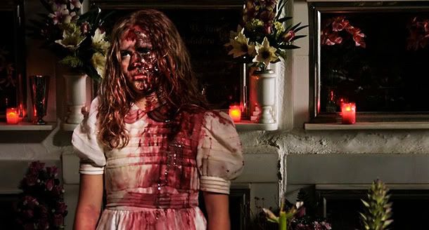 La dulce mano de la Rosa Blanca