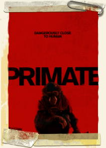 Primate