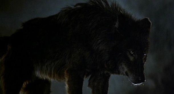 El despertar de los lobos