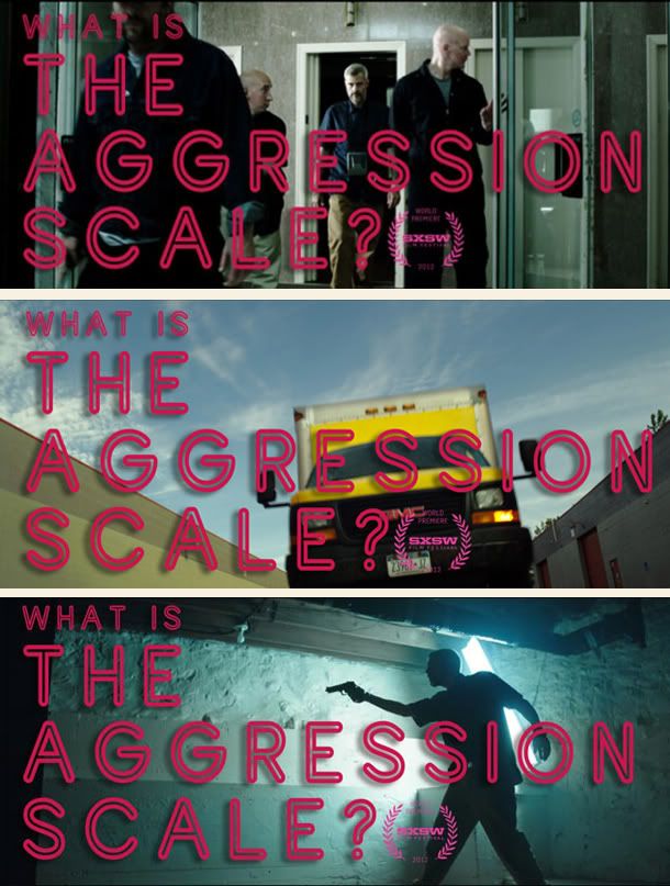 The Aggression Scale