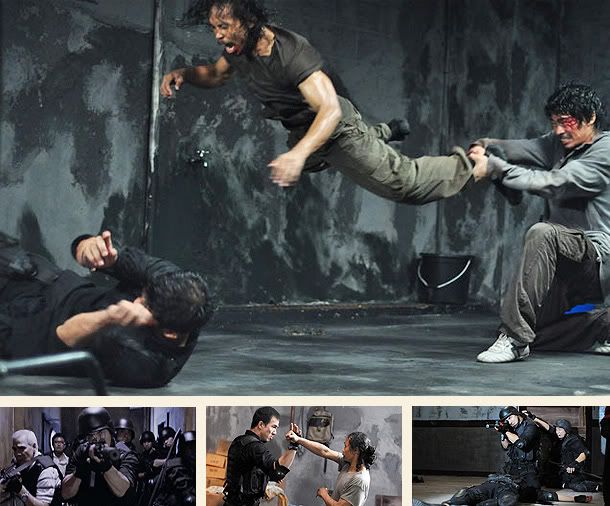 The Raid: Redemption