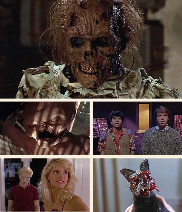 El terror llama a su puerta