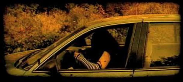 Acid Head: The Buzzard Nuts County Slaughter