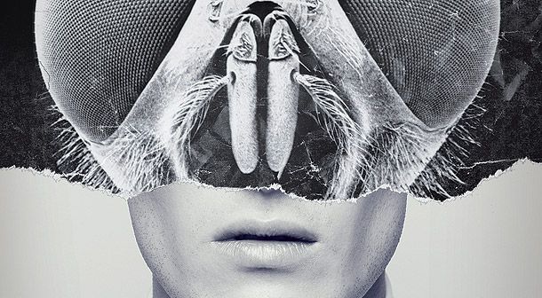 Año mutante en Terrormolins