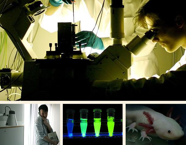 Errors of the Human Body