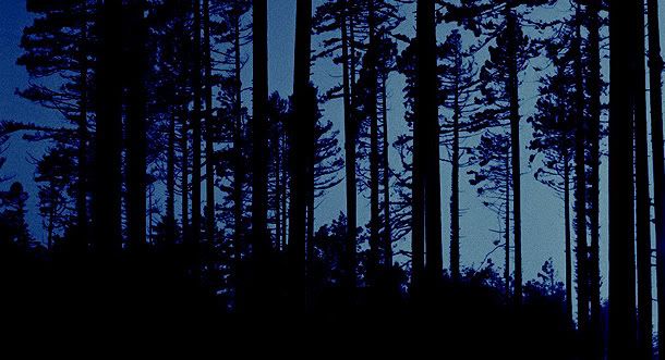 La Chica que Amaba a Tom Gordon